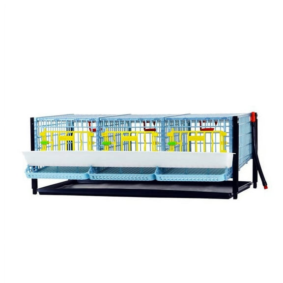 Hatching Time Quail Cage - Layer Addition (Power-Washable, Durable, ABS Plastic) | Cimuka