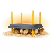 Hatching Time Chick Heating Plate, 10 x 10, Brooder Heater for 15 20 Chicks, Warmzy