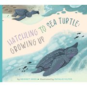 Hatchling to Sea Turtle Growing Up, Paperback