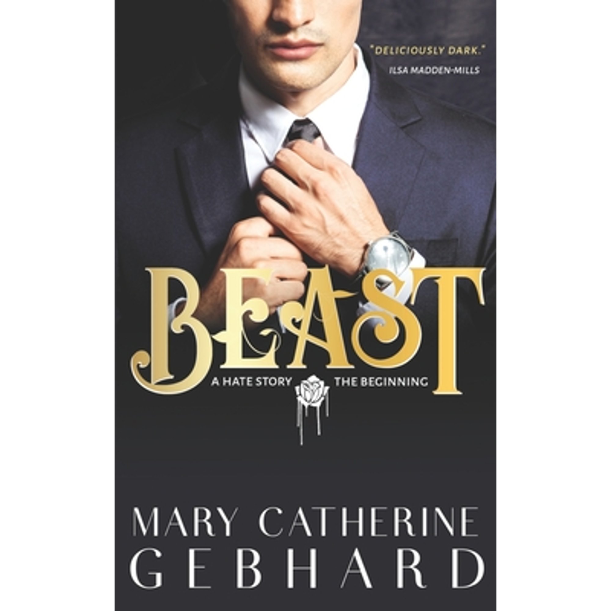 Hate Story: Beast: A Hate Story, The Beginning (Paperback) - Walmart.com