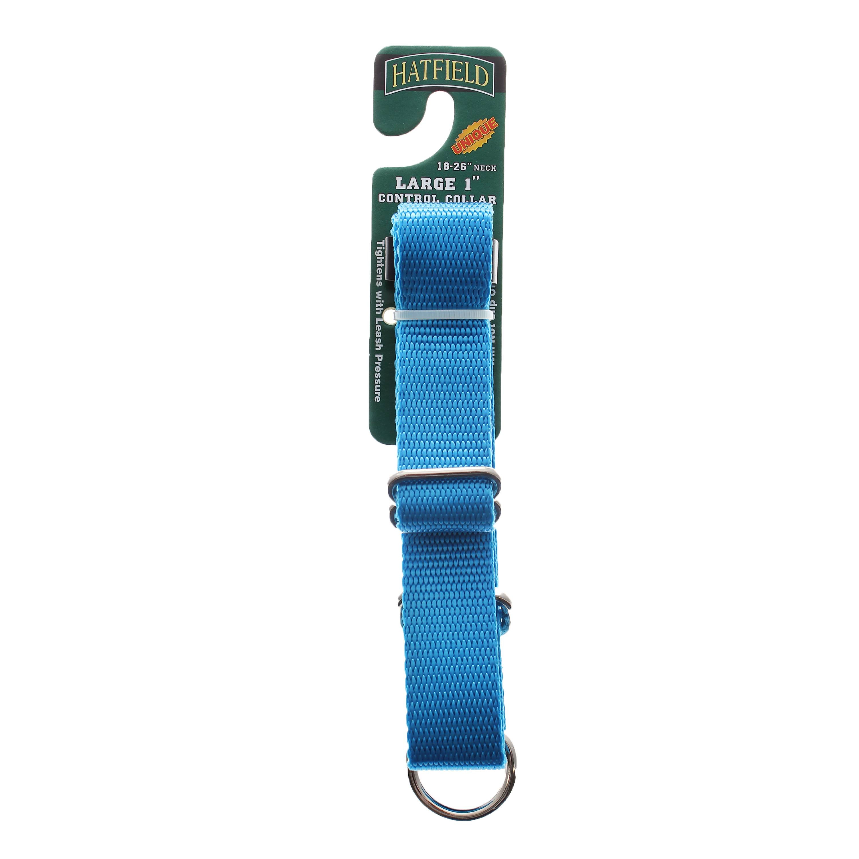 Hatfield Control Dog Collar, Large, Blue