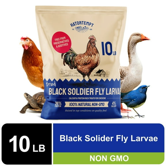 Hatortempt Black Soldier Fly Larvae Dry Organic Chicken Feed, 10lb. Bag