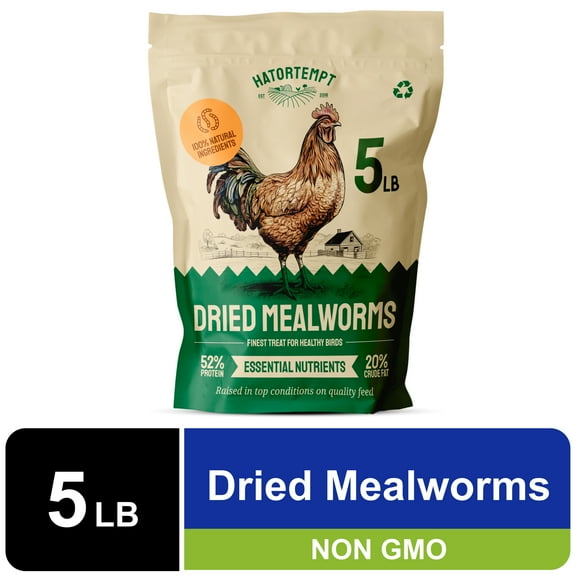 Hatortempt Mealworms Dry Chicken Feed, 5lb Bag, 1 Pack