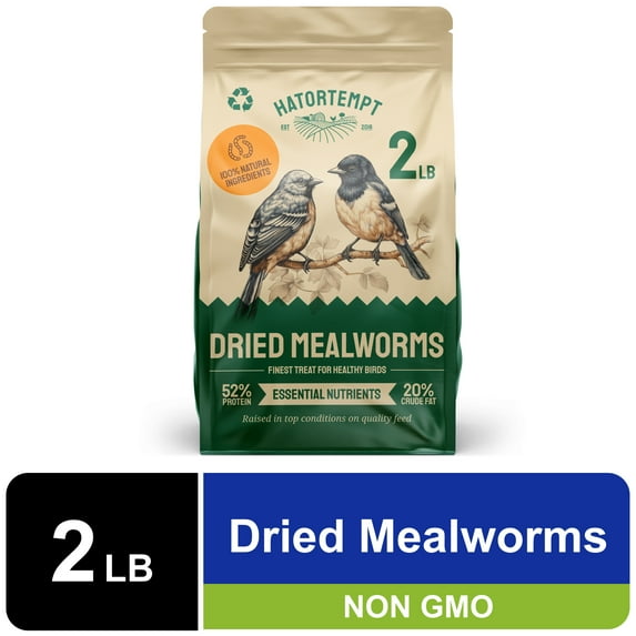 Hatortempt, Mealworms Dry Wild Bird Food, 2lb Bag, 1 Pack