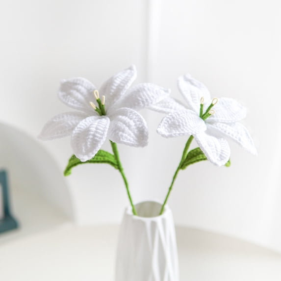 HauiWeiLyai Crochet Flowers Lilies, Mothers Day Crochet Flower Bouquet, Fake Artificial Flowers Bouquet For Home Office Party Wedding Decoration Birthday Gift White