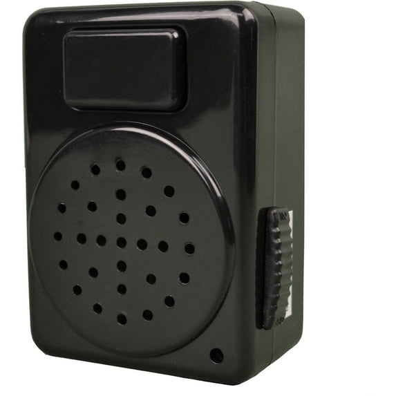 Haunted Doorbell, Plastic, Black Halloween Decoration