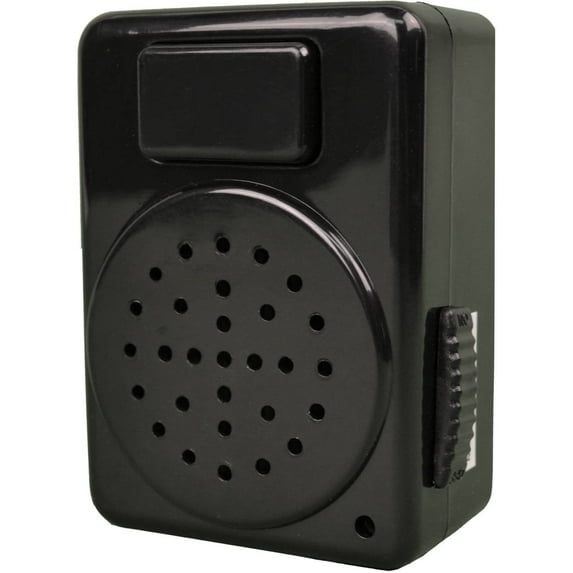 Haunted Doorbell, Plastic, Black Halloween Decoration