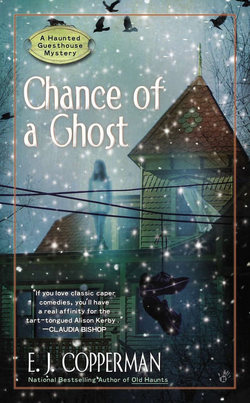 Haunted Guesthouse Mystery: Chance of a Ghost (Paperback) - image 1 of 1
