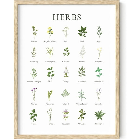 Haus and Hues Herb Pictures for Kitchen Wall Art - Kitchen Herbs Wall Art and Botanical Prints Herbs Art, Kitchen Wall Art Herbs and Kitchen Art, Cottage Core Decor (Beige Framed, 12x16)