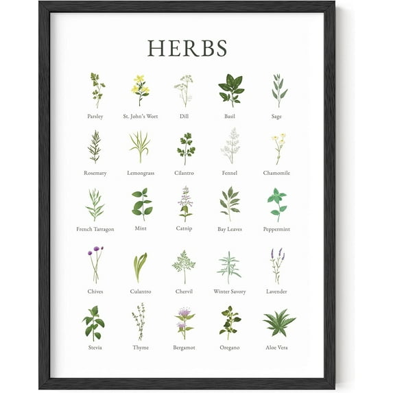 Haus and Hues Herb Pictures for Kitchen Wall Art - Kitchen Herbs Wall Art and Botanical Prints Herbs Art, Kitchen Wall Art Herbs and Kitchen Art, Cottage Core Decor (Black Framed, 12x16)