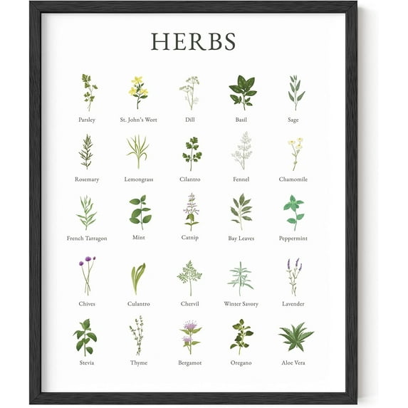 Haus and Hues Herb Pictures for Kitchen Wall Art - Kitchen Herbs Wall Art and Botanical Prints Herbs Art Kitchen Wall Art Herbs and Kitchen Art Cottage Core Decor Herb Collage (Framed Black, 16x20)