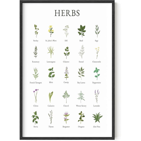 Haus and Hues Herb Pictures for Kitchen Wall Art - Kitchen Herbs Wall Art and Botanical Prints Herbs Art Kitchen Wall Art Herbs and Kitchen Art Cottage Core Decor Herb Collage (Framed Black, 24x36)