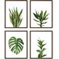 thumbnail image 1 of Haus and Hues Plant Wall Art - Set of 4 Plant Pictures Wall Art and Green Wall Art Collection, Botanical Prints, Sage Green Leaves Paintings For Wall, Minimalist Wall Art (8x10, Framed Walnut), 1 of 6