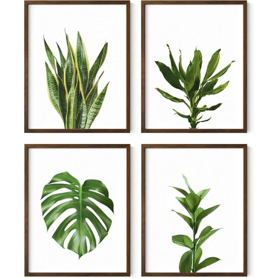 Haus and Hues Plant Wall Art - Set of 4 Plant Pictures Wall Art and Green Wall Art Collection, Botanical Prints, Sage Green Leaves Paintings For Wall, Minimalist Wall Art (11x14, Framed Walnut)