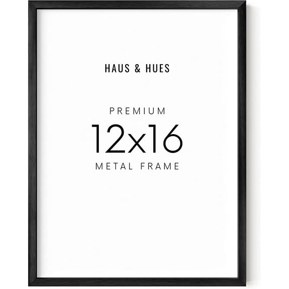 Haus and Hues 12 in x 16 in Black Premium Metal Picture Frame