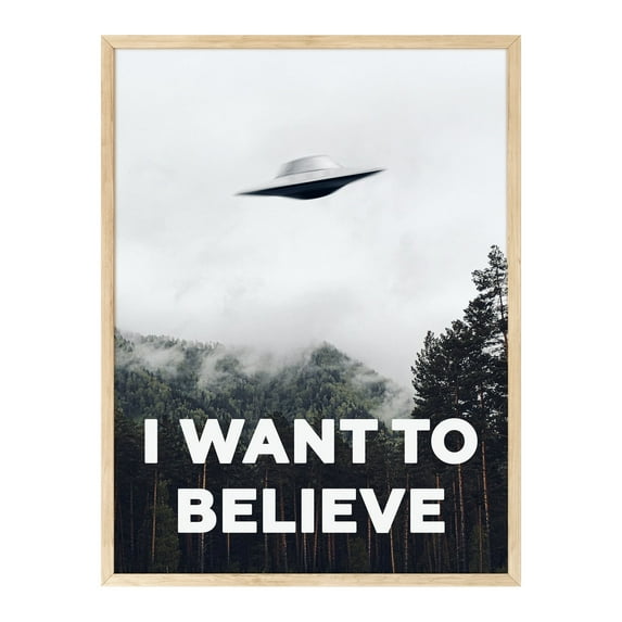 Haus and Hues The X Files I Want To Believe Poster - I Want To Believe Posters X Files UFO Posters for Room Aesthetic Trippy Posters 12"X16"