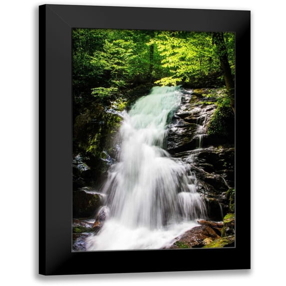Hausenflock, Alan 11x14 Black Modern Framed Museum Art Print Titled - Deep Woods Waterfall II