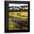 thumbnail image 1 of Hausenflock, Alan 11x14 Black Modern Framed Museum Art Print Titled - Down East II, 1 of 5