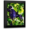 thumbnail image 1 of Hausenflock, Alan 11x14 Black Modern Framed Museum Art Print Titled - Grapes I, 1 of 5