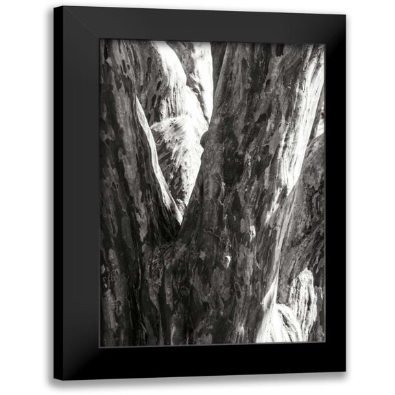 Hausenflock, Alan 11x14 Black Modern Framed Museum Art Print Titled - Shedded Bark I