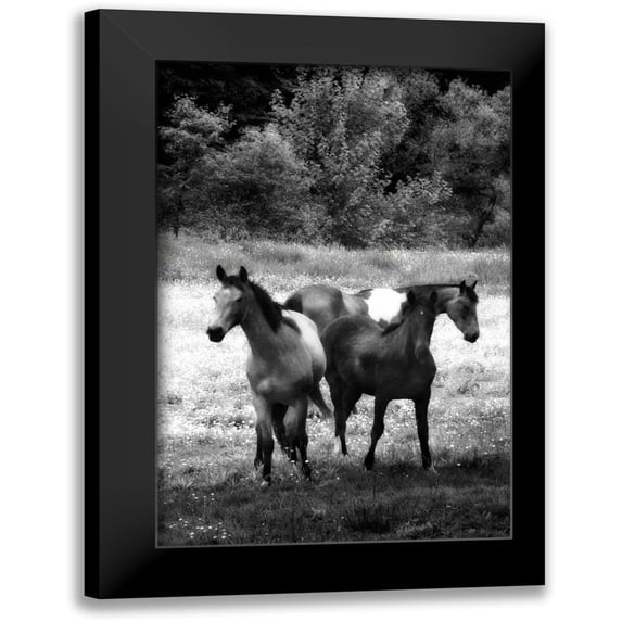 Hausenflock, Alan 11x14 Black Modern Framed Museum Art Print Titled - The Horses Three I