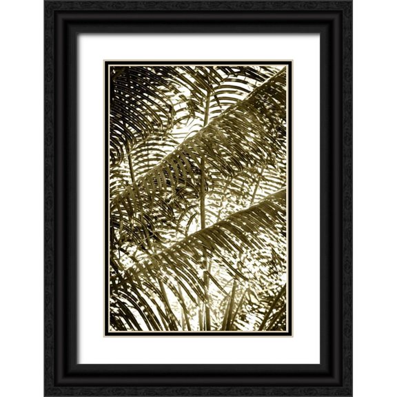 Hausenflock, Alan 11x14 Black Ornate Wood Framed with Double Matting Museum Art Print Titled - Dancing Light II