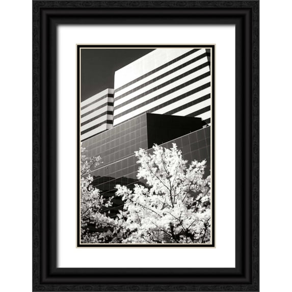 Hausenflock, Alan 11x14 Black Ornate Wood Framed with Double Matting Museum Art Print Titled - Geometric IV