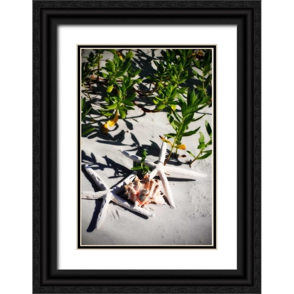 Hausenflock, Alan 11x14 Black Ornate Wood Framed with Double Matting Museum Art Print Titled - Shells by the Sea III