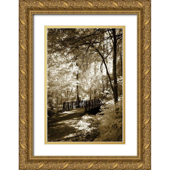 Hausenflock, Alan 11x14 Gold Ornate Wood Framed with Double Matting Museum Art Print Titled - Summer Bridge