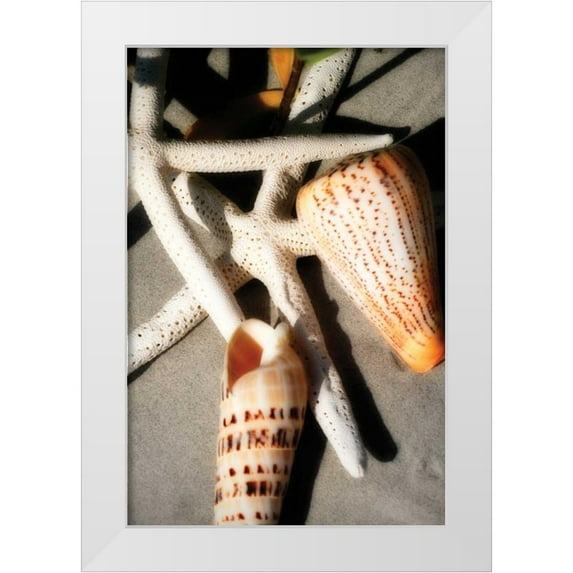 Hausenflock, Alan 11x14 White Modern Wood Framed Museum Art Print Titled - Shells by the Sea I