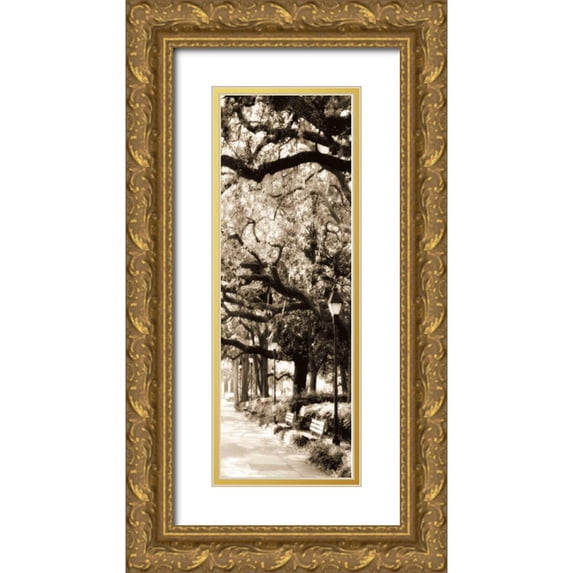 Hausenflock, Alan 11x24 Gold Ornate Wood Framed with Double Matting Museum Art Print Titled - Savannah in Sepia I