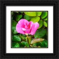 thumbnail image 1 of Hausenflock, Alan 12x12 Black Ornate Wood Framed with Double Matting Museum Art Print Titled - A Single Rose IV, 1 of 4
