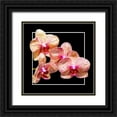 thumbnail image 1 of Hausenflock, Alan 12x12 Black Ornate Wood Framed with Double Matting Museum Art Print Titled - Orchids on Black I, 1 of 4