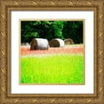 thumbnail image 1 of Hausenflock, Alan 12x12 Gold Ornate Wood Framed with Double Matting Museum Art Print Titled - Spring Fields II, 1 of 4