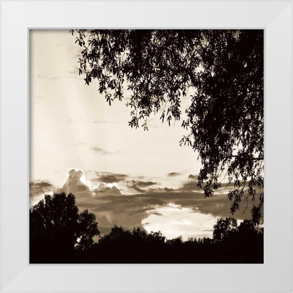Hausenflock, Alan 12x12 White Modern Wood Framed Museum Art Print Titled - Sunset Trees Sepia Sq I
