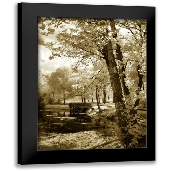 Hausenflock, Alan 12x14 Black Modern Framed Museum Art Print Titled - Mint Springs Lake I