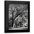thumbnail image 1 of Hausenflock, Alan 13x18 Black Modern Framed Museum Art Print Titled - Four Trees, 1 of 5