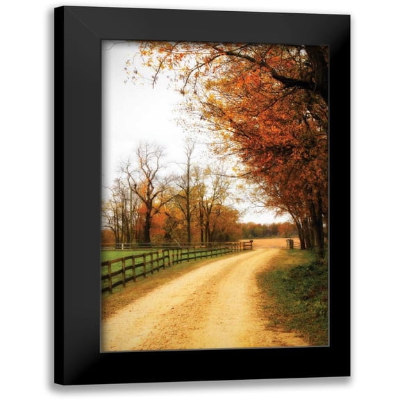 Hausenflock, Alan 13x18 Black Modern Framed Museum Art Print Titled - Gray Skies I