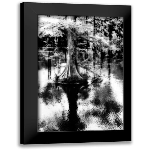 Hausenflock, Alan 13x18 Black Modern Framed Museum Art Print Titled - Trenton Cyprus II