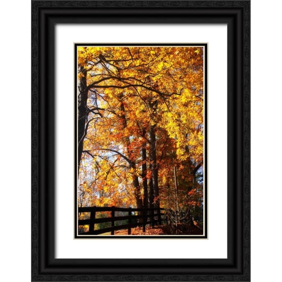 Hausenflock, Alan 13x18 Black Ornate Wood Framed with Double Matting Museum Art Print Titled - Boughs of Gold I