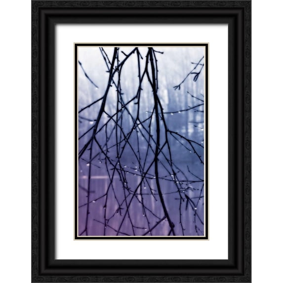 Hausenflock, Alan 13x18 Black Ornate Wood Framed with Double Matting Museum Art Print Titled - Droplets II