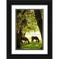 thumbnail image 1 of Hausenflock, Alan 13x18 Black Ornate Wood Framed with Double Matting Museum Art Print Titled - Horses in the Sunrise VI, 1 of 4