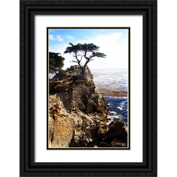Hausenflock, Alan 13x18 Black Ornate Wood Framed with Double Matting Museum Art Print Titled - Lone Cypress I