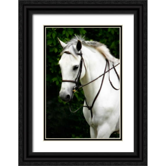 Hausenflock, Alan 13x18 Black Ornate Wood Framed with Double Matting Museum Art Print Titled - Phantom I