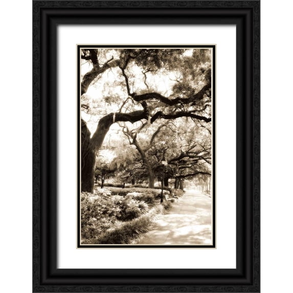 Hausenflock, Alan 13x18 Black Ornate Wood Framed with Double Matting Museum Art Print Titled - Savannah Sidewalk II