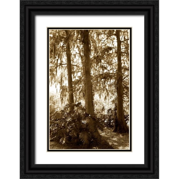 Hausenflock, Alan 13x18 Black Ornate Wood Framed with Double Matting Museum Art Print Titled - Tropical Garden I