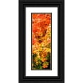 thumbnail image 1 of Hausenflock, Alan 13x32 Black Ornate Wood Framed with Double Matting Museum Art Print Titled - Autumn Maple I, 1 of 4