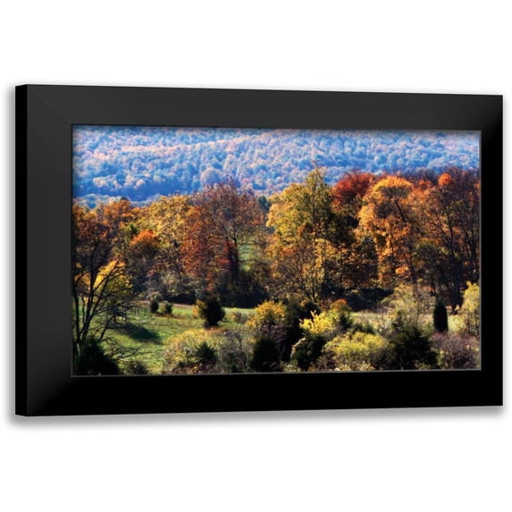 Hausenflock, Alan 14x11 Black Modern Framed Museum Art Print Titled - Autumn Foothills I