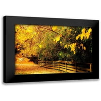 Hausenflock, Alan 14x11 Black Modern Framed Museum Art Print Titled - Autumns End