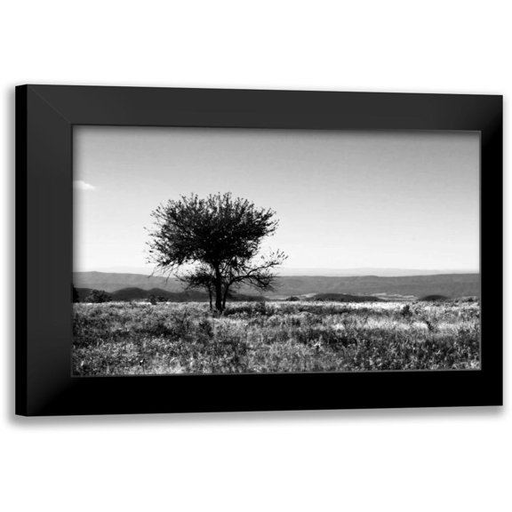 Hausenflock, Alan 14x11 Black Modern Framed Museum Art Print Titled - Big Meadow IV